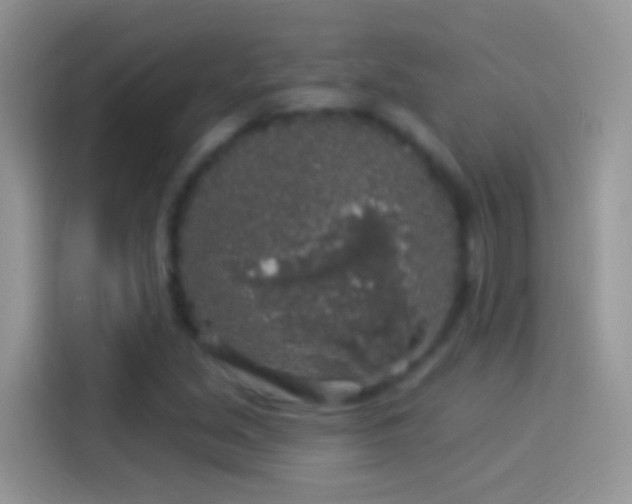 X0000114121213200910131356