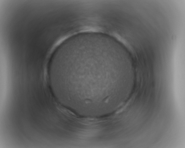 X0000114121215200910131356