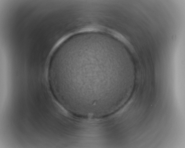 X0000114121216200910131356