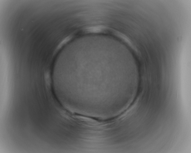 X0000114121218200910131356