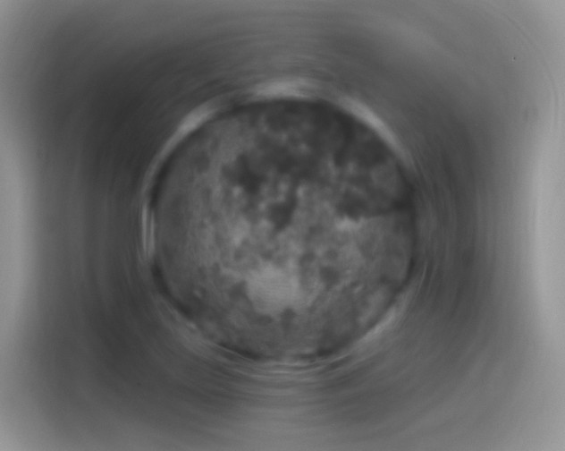 X0000114121219200910131356