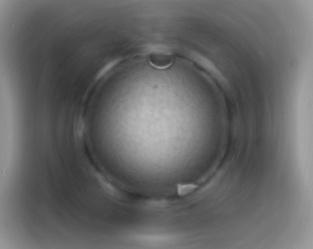 X0000114121220200910131356