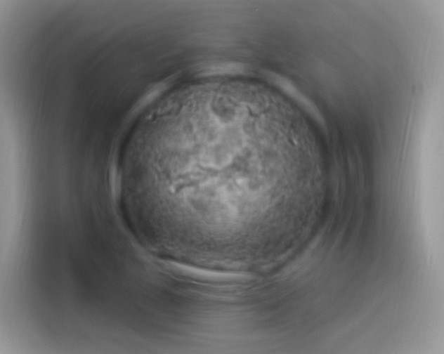 X0000114121221200910131356