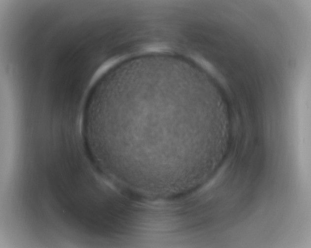 X0000114121222200910131356