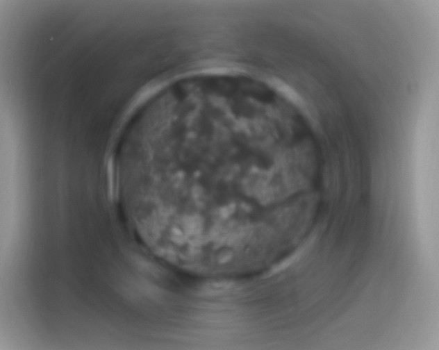 X0000114121223200910131356