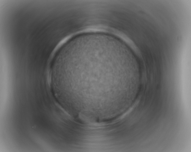 X0000114121224200910131356