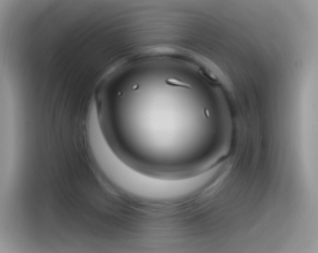 X0000114121225200910131356