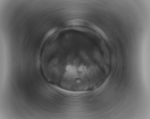 X0000114121226200910131356