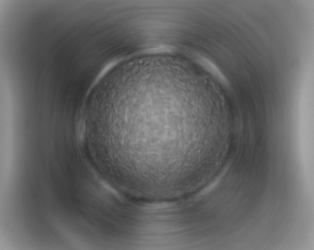 X0000114121228200910131356