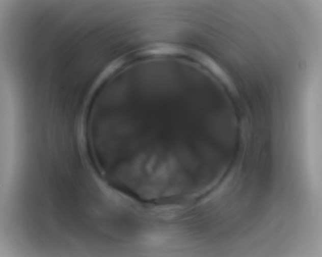 X0000114121229200910131356