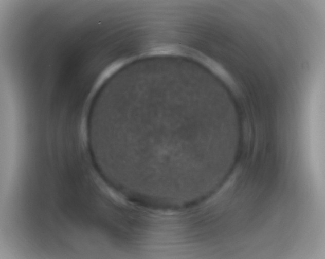 X0000114121230200910131356