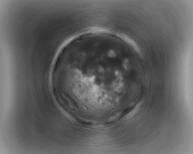 X0000114121231200910131356