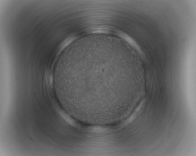 X0000114121234200910131356