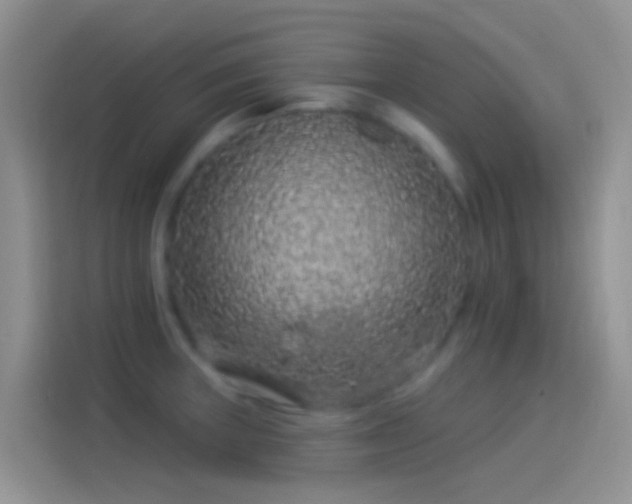 X0000114121235200910131356