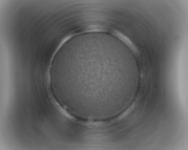 X0000114121236200910131356