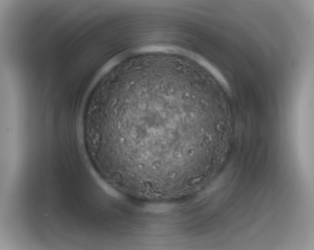 X0000114121237200910131356