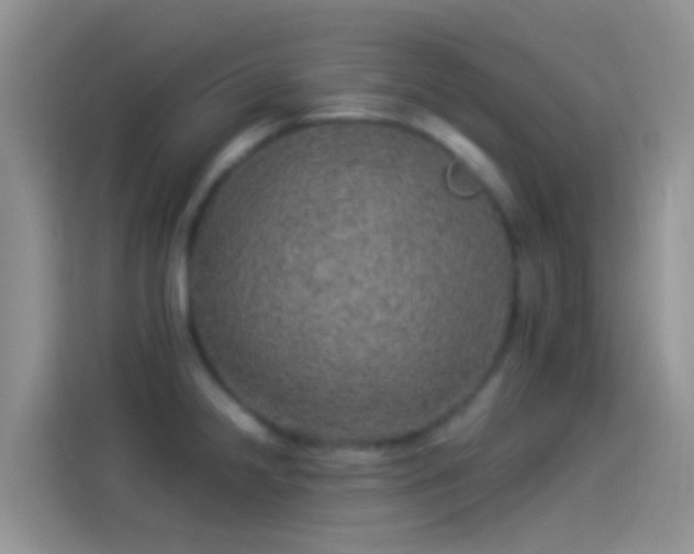 X0000114121238200910131356