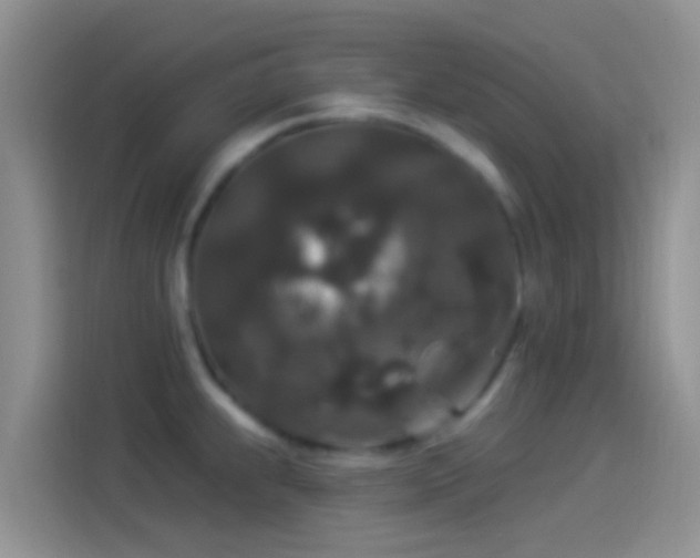 X0000114121239200910131356