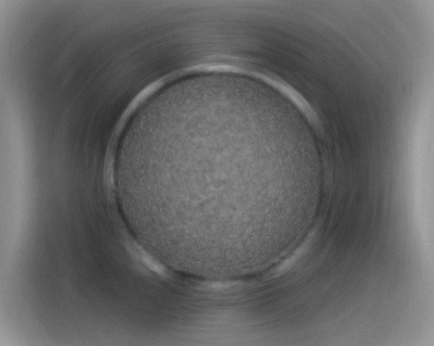 X0000114121240200910131356