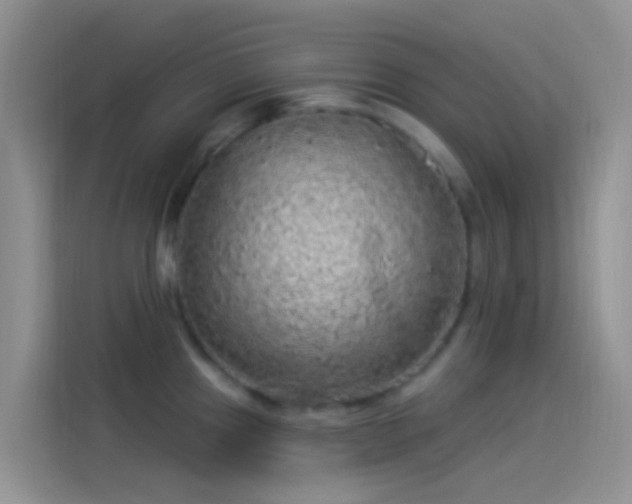 X0000114121241200910131356