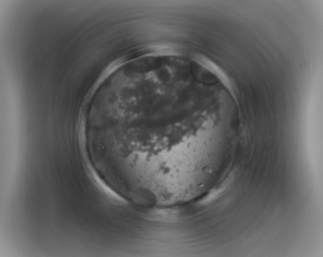 X0000114121243200910131356