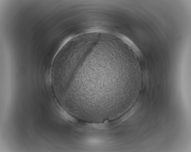 X0000114121244200910131356