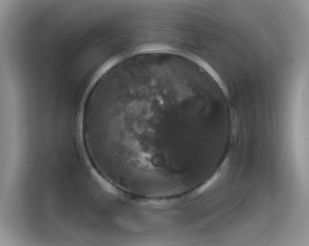 X0000114121245200910131356