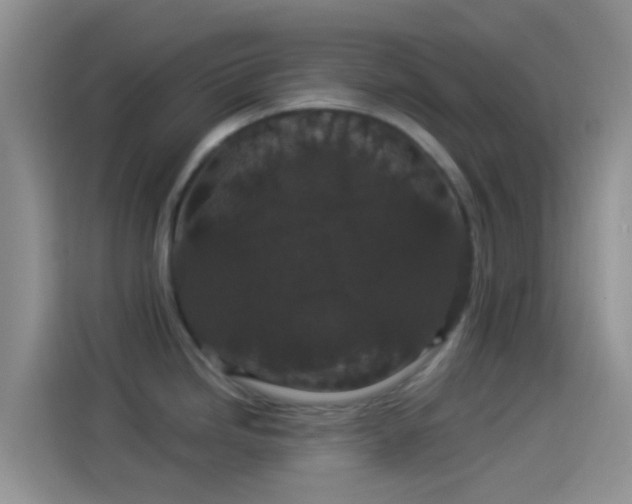 X0000114121246200910131357