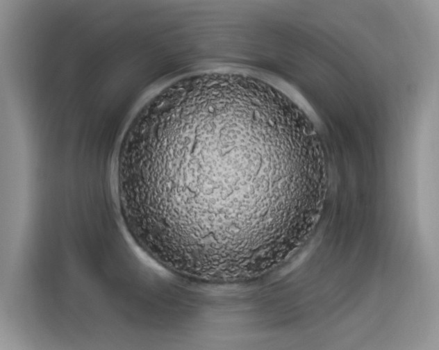 X0000114121247200910131357