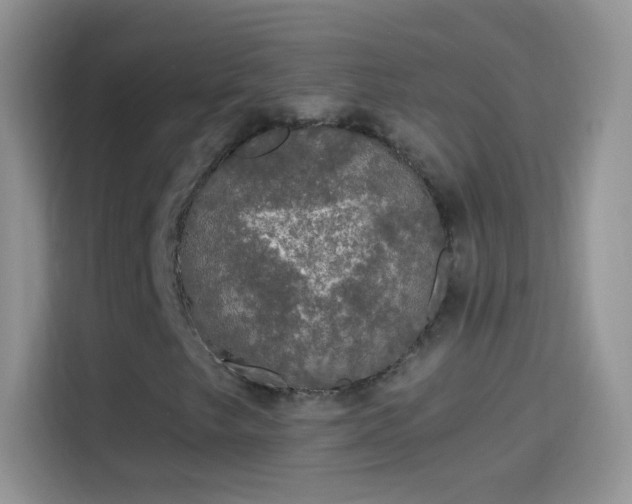 X0000114121249200910131356