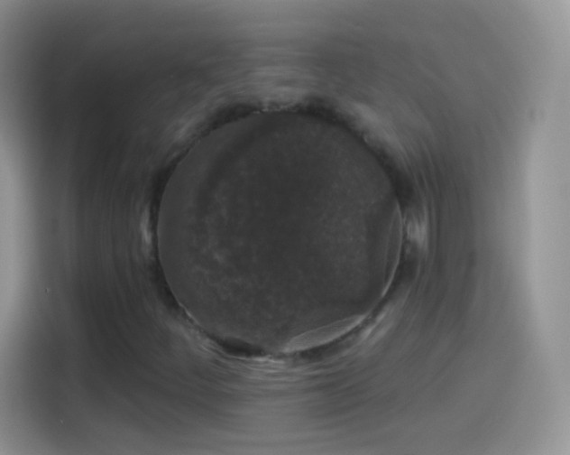 X0000114121252200910131356