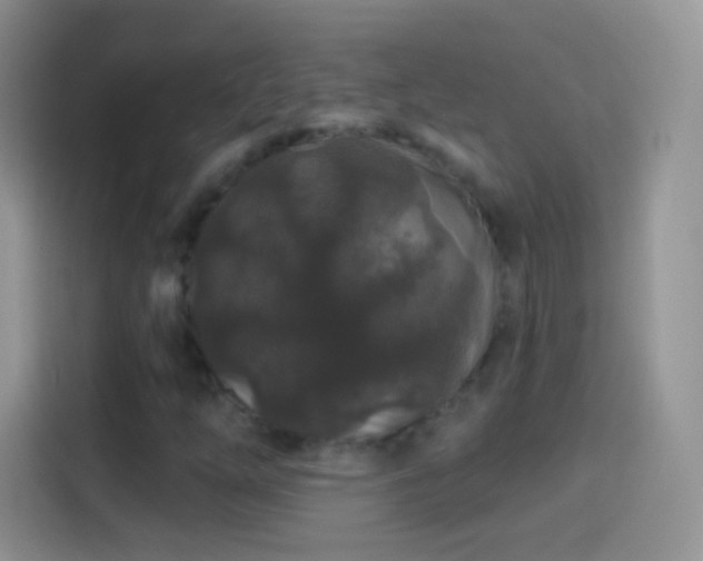 X0000114121254200910131356