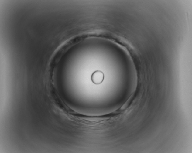 X0000114121256200910131356