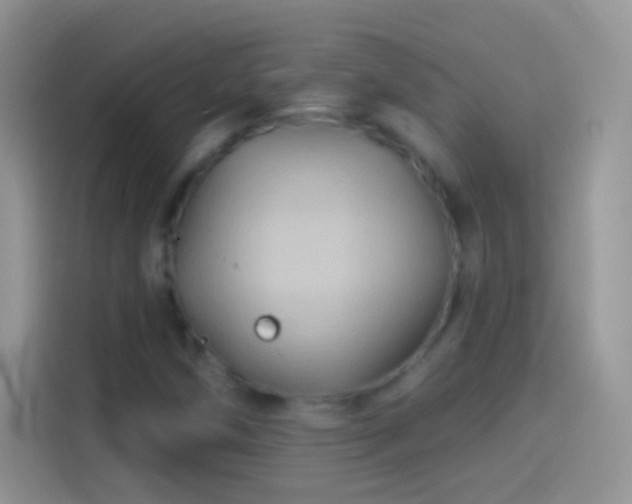 X0000114121258200910131356