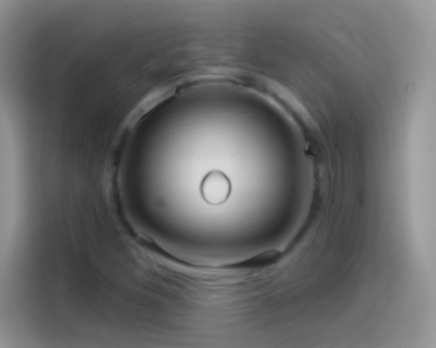 X0000114121260200910131356