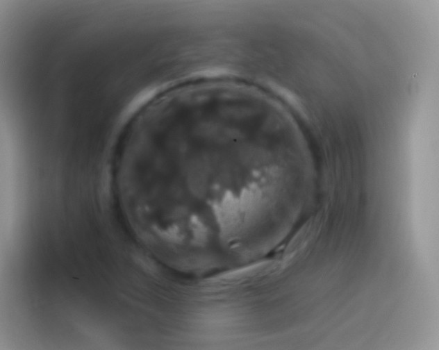 X0000114121263200910131356