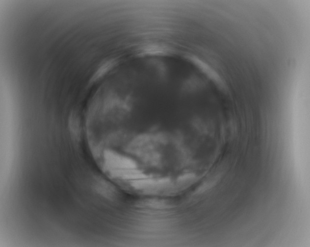 X0000114121266200910131356