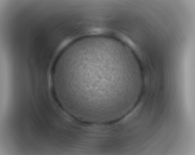 X0000114121267200910131356