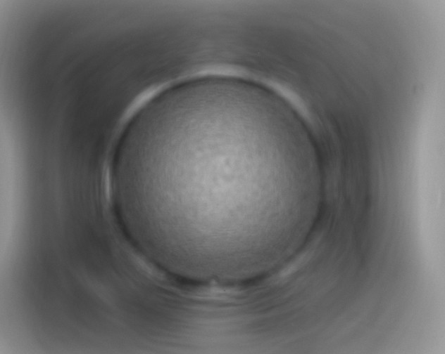 X0000114121271200910131356