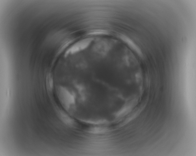 X0000114121274200910131356