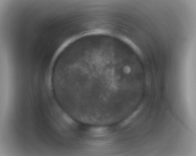 X0000114121278200910131356