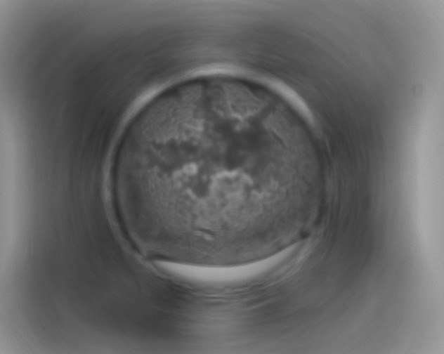 X0000114121279200910131356