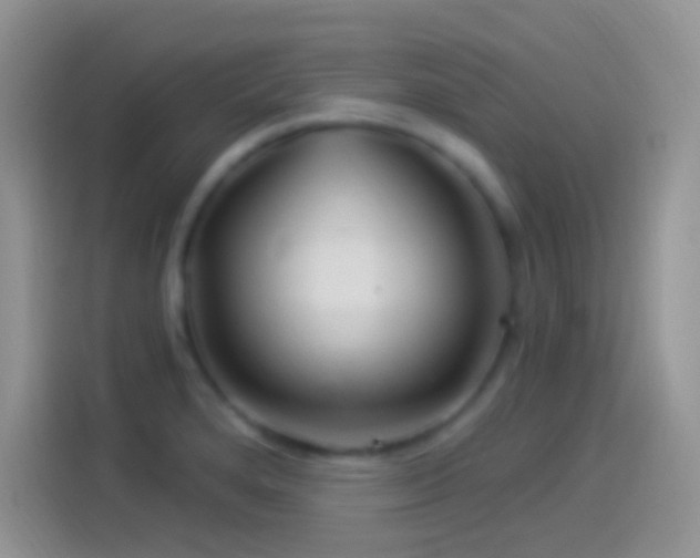 X0000114121280200910131356