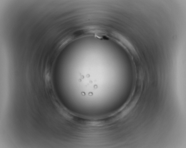 X0000114121281200910131356