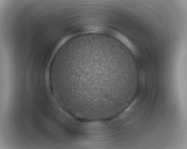 X0000114121283200910131355