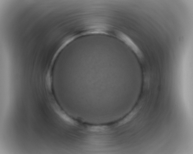 X0000114121284200910131355