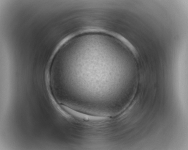 X0000114121287200910131355