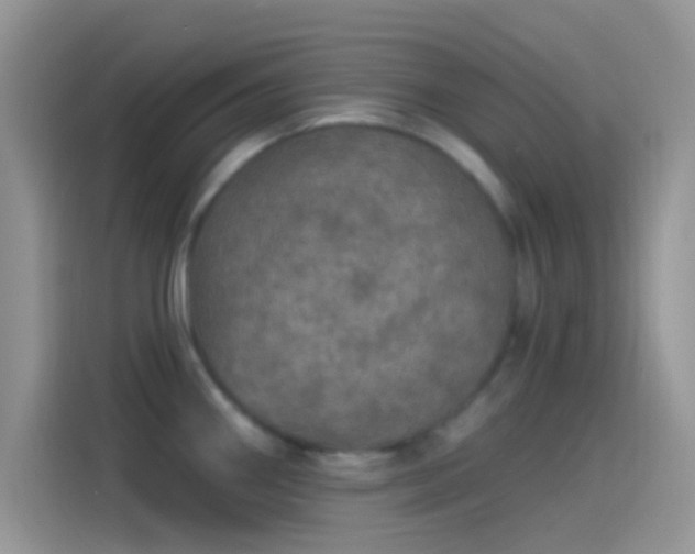 X0000114121290200910131355