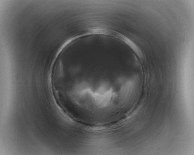 X0000114121291200910131355