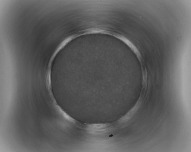 X0000114121294200910131355